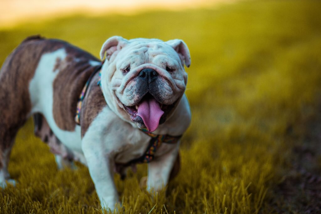 david gavi eq 9ckvhgj8 unsplash