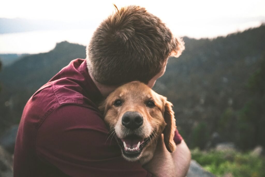 eric ward isg37ai2a s unsplash