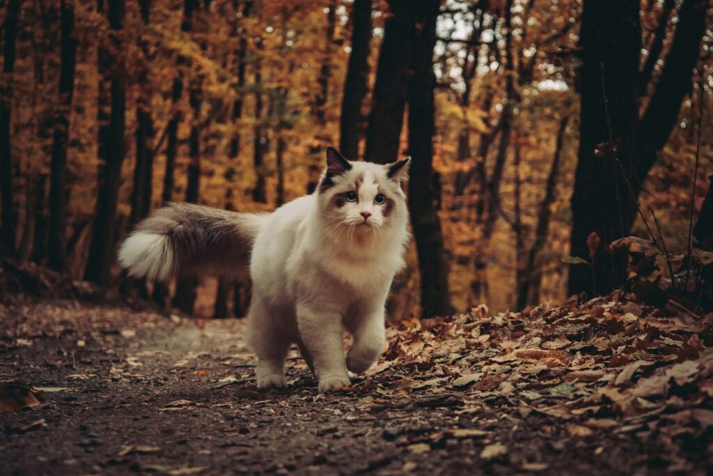 husqqqy iljxmzakllw unsplash