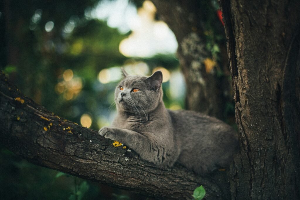 max bottinger yl3cxnwv4m unsplash